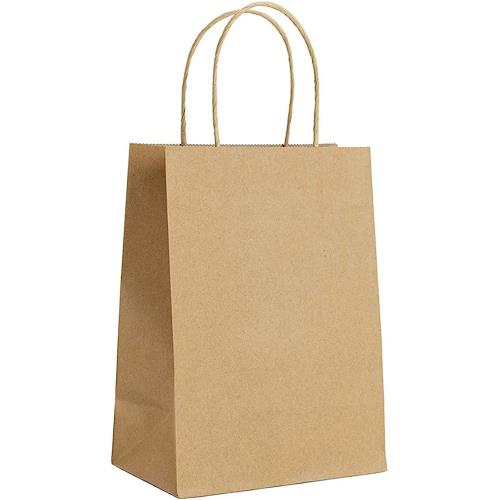EcoSystems® Kraft Paper Bag With Rope Handle, 10" x 5" x 13"