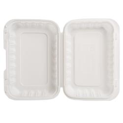 EcoSystems® 1 Compartment Hinged Container 9" x 6" - 150/Case