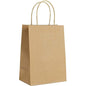 EcoSystems® Kraft Paper Bag With Rope Handle, 10" x 5" x 13"